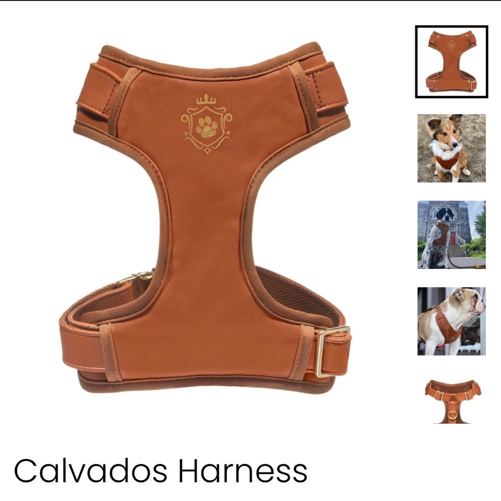 Idoggods Dog harness and leash